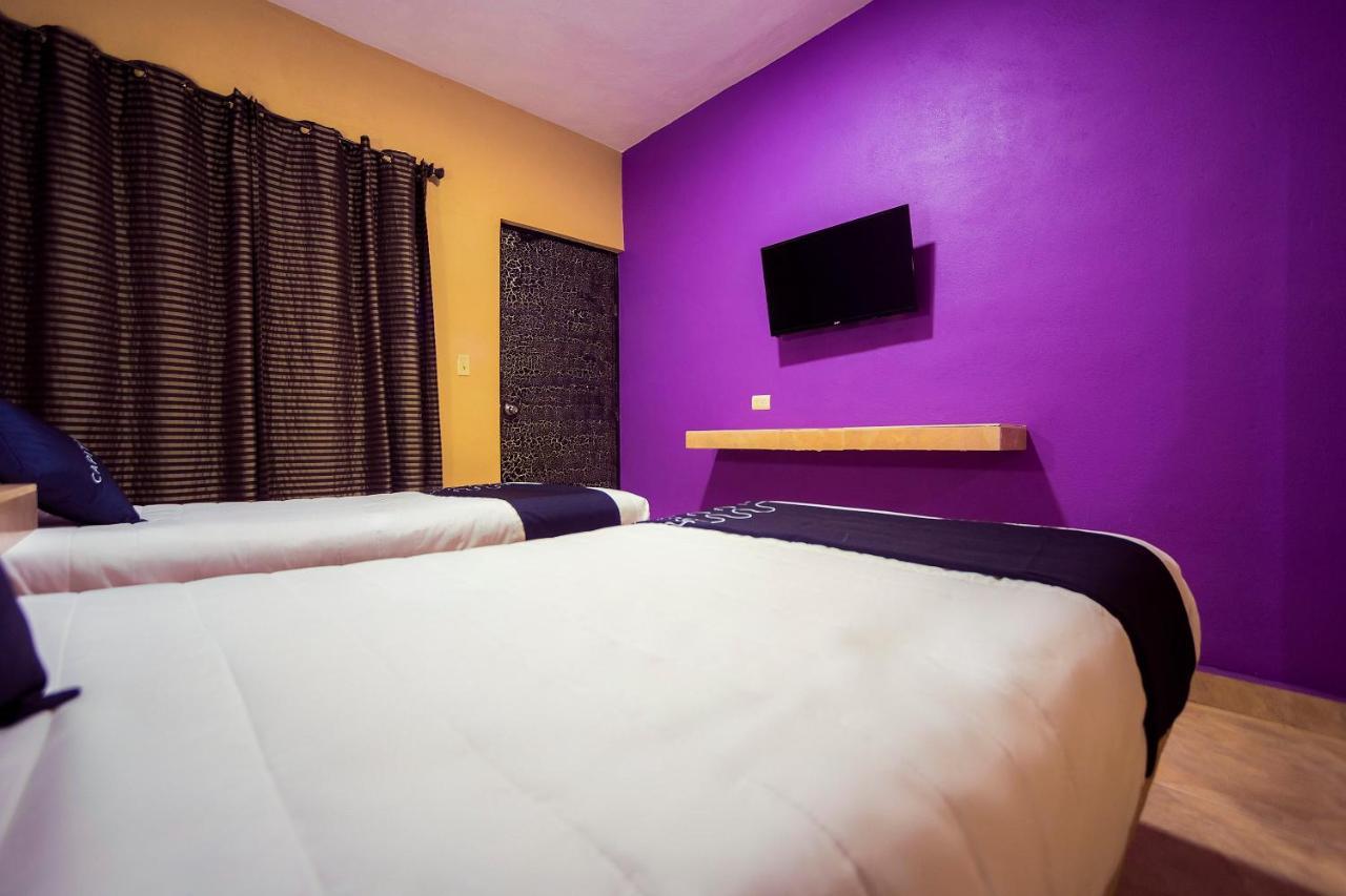 Hotel La Silla Monterrey Dış mekan fotoğraf